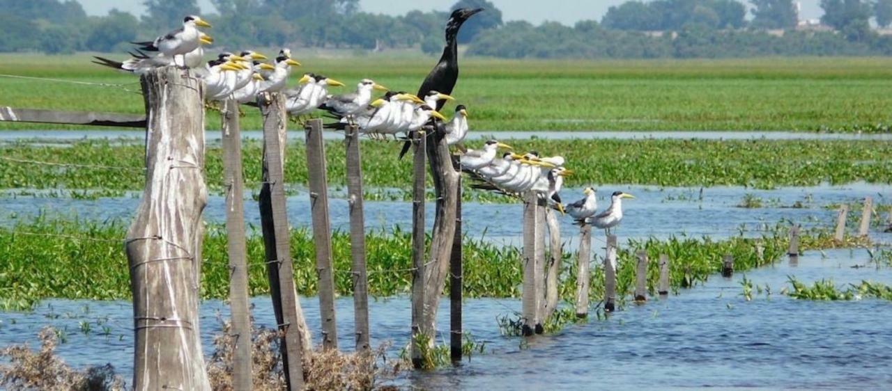 Posada Che Teindy Colonia Carlos Pellegrini  Esterno foto